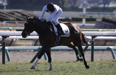 62A12178-2C6C-4076-8EEF-53B91C33F4E0