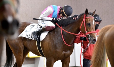 3C85CBFC-2B5E-423C-A61D-10C78CACE991