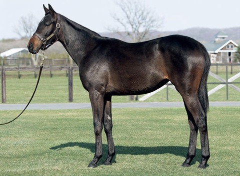 560D6BB8-F44D-4ADA-8ABE-E6D9EFDDAB8A