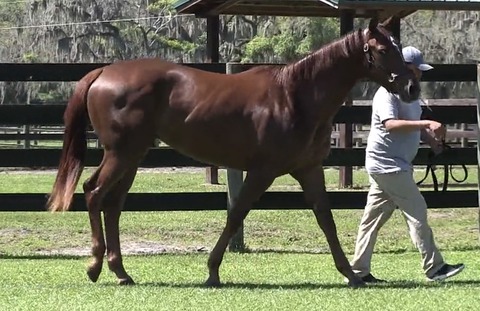 12889E9B-971F-4683-9462-3765F67F9F44