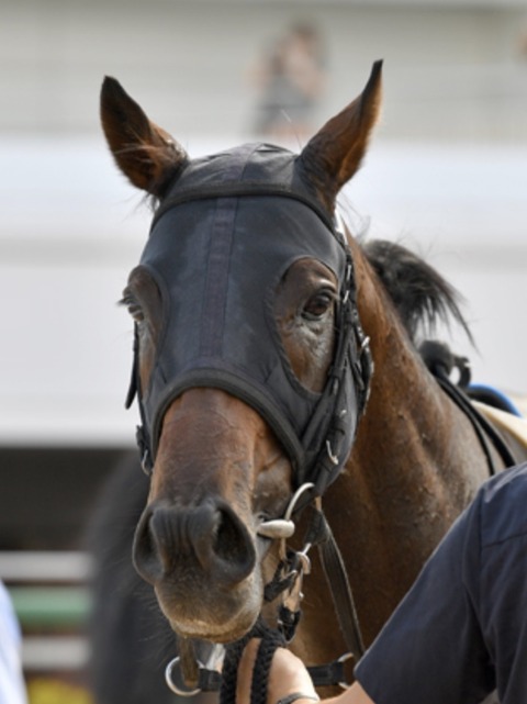 9BE783A9-BC63-455A-A7B7-8909F92324CC