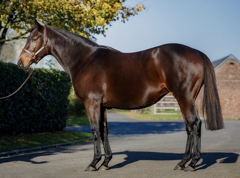 74F6CEA5-77AC-4937-BD1E-A86F64A2E53D