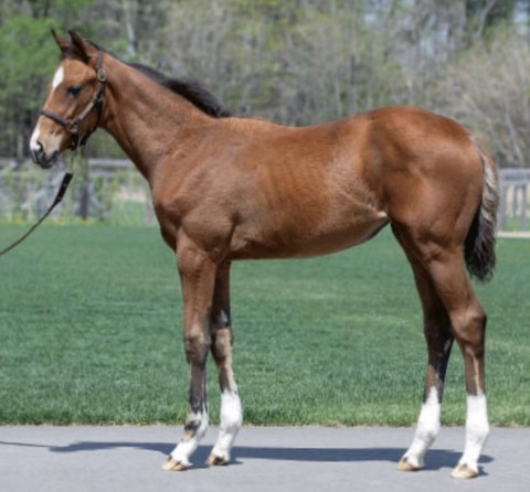 A3C595F4-BA7C-47A3-A549-5627D2347293