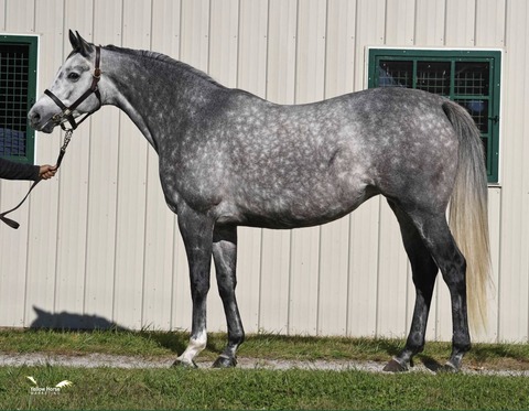 7E1793CC-6A00-4A26-9342-CD45F9283448