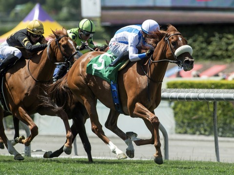 42929BDB-CEFD-4437-B929-51FC7C3322F3