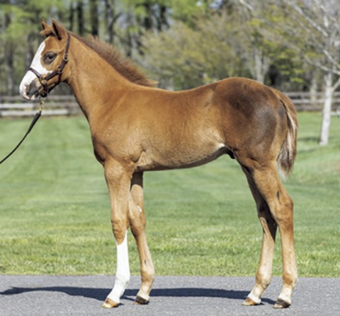 B9F1F333-EBBE-4067-981B-47712CA21A6E