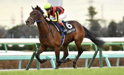 4DBE234F-188D-4951-9971-1032B6F931A3