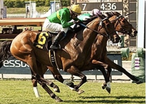 2CDE5BAC-713A-4CDB-8CE4-387841B00013