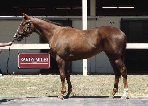 F2A3DBAC-59D6-4945-ADCF-5541A27CBAF6