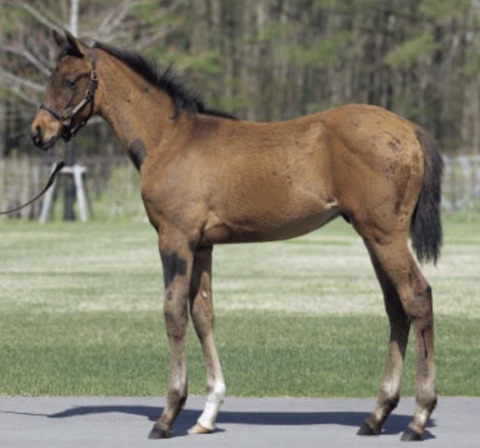 1726F578-0AFD-449B-A995-AB1482F3AD54