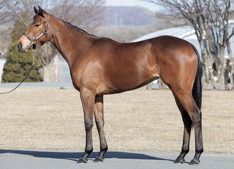 90B588B2-A66A-4A34-B00E-914F246CD4CD