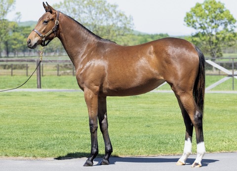 EF0A3111-4F6F-4C0E-8E60-5FA47513C100