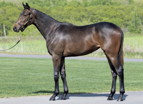 76A60156-B9D2-4FFE-AC66-BFB84B9135CD