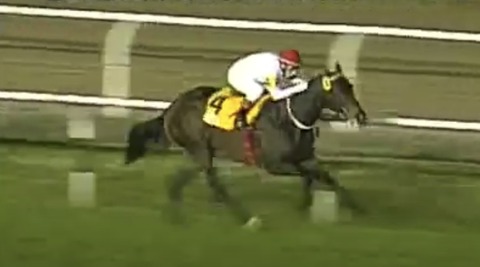 F82AAFBE-04FA-4B49-9677-DBE5B47E7309