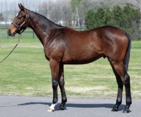 837AC79D-CCFE-4DC7-A255-39CC9CDDCFE1