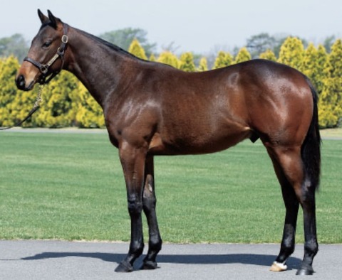 7FE1E56A-5486-4584-AC96-7BEF052B29A9