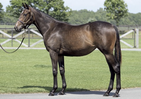 4FB88C67-227A-4DCA-B2B2-D3B444C3F3ED