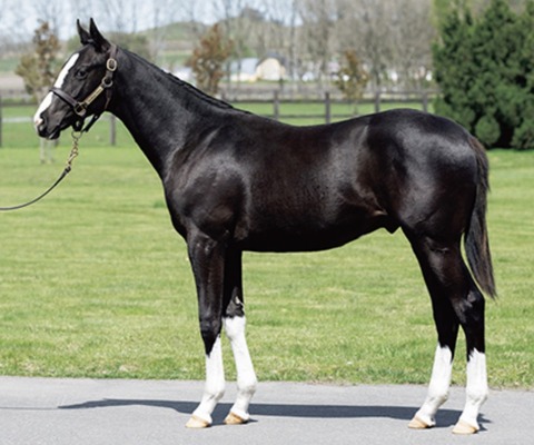 7FC8CDE0-2CEB-44E8-8386-9B7FC39E1F18