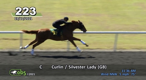 CB70967B-10D9-4808-970C-FC8A8B21310C