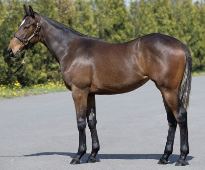 E997F26A-6733-404F-86DF-1B916B82D5C6