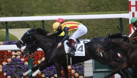 3DD57B87-5F88-438C-9BD3-DF6F06CDB11C