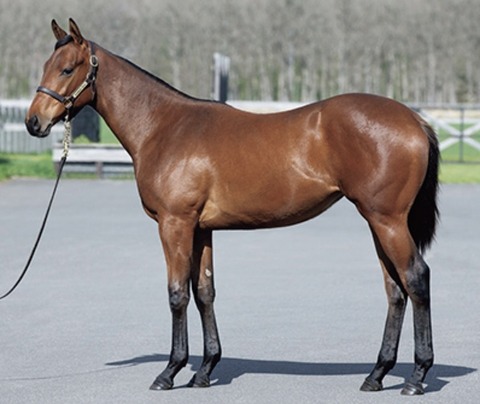 CB28CCF6-7F18-46CF-94B1-6B9EB7065991