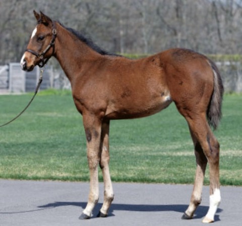 230DC1EC-35CC-4D8A-A0C9-1549A550CD67