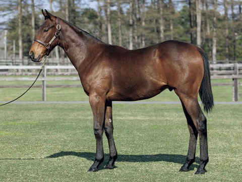 0C36ACBD-E209-448E-A4E5-8970BFDB4765