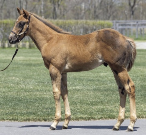 0D7361BF-29D0-441E-9CE6-A601E593A943