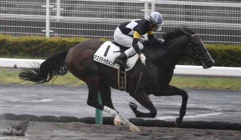 3EEB9283-4C29-428C-B58F-C78A0806A61E