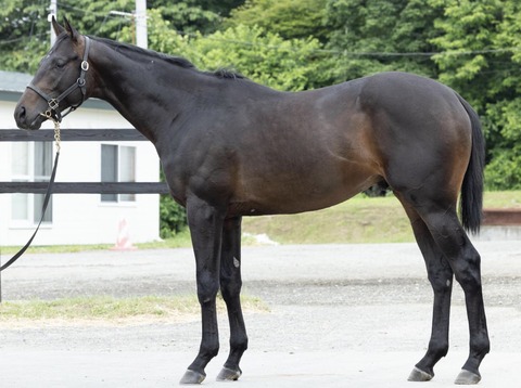 8CB77DB0-B2F5-4272-8386-EDE11BEF1A45