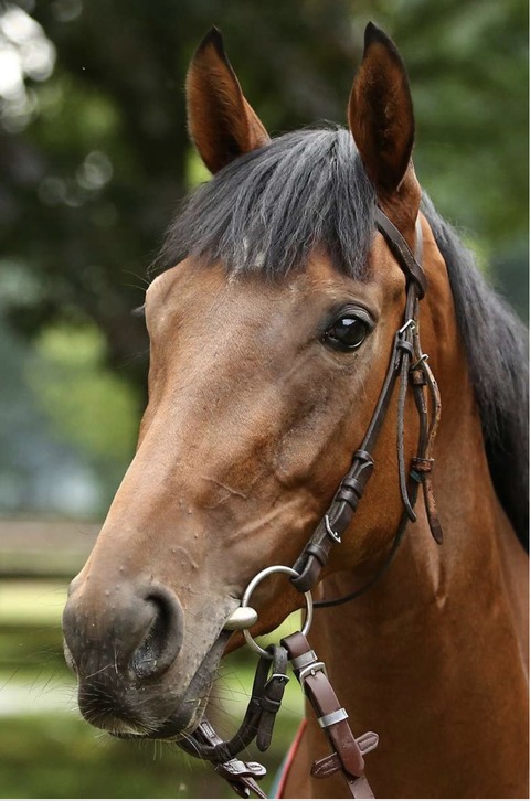 171ED55A-206B-4F49-AD37-F942B8882E11