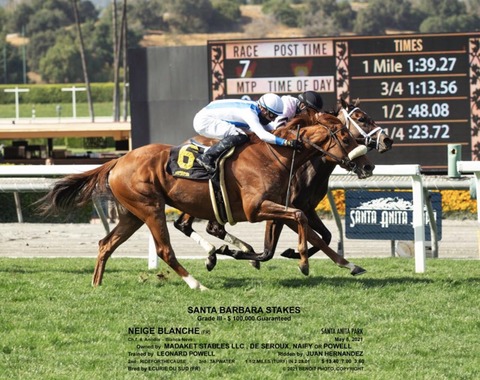 1E0950E7-9F04-40D2-8A00-859E882641B4