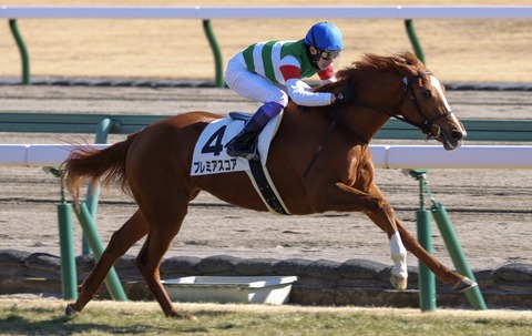 64E8EB1A-E91F-4250-B909-577E335E41C0