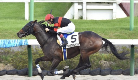 43DAD9FC-345B-4638-AF12-12197D8E36B0