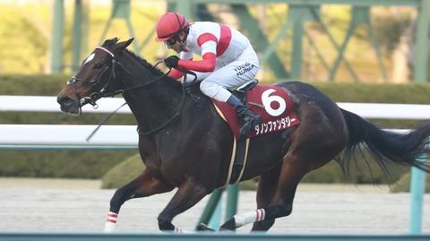 C84896C4-220D-4EE6-AEAD-2BA57E7859D6