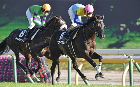 788B3AF5-C8B1-4965-992A-38AFDC93C9B1