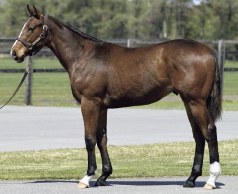 0AC49C99-8F8E-4D24-A825-CFD3FD23D8D1