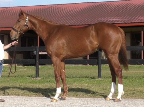 0FB3449D-4436-4087-9429-B70B03493A38