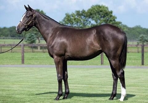 7EC9E6F0-E053-4D88-800C-272B7170FFB4