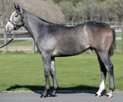 11ECA00B-C0E3-4550-8B42-F64C7901AF62