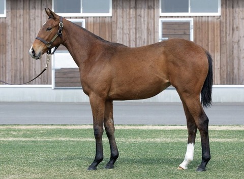 AD5B9B59-6B12-4EA2-A42A-912ADC5B81F6