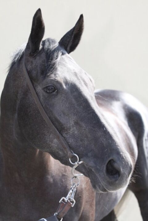 CFF13FC6-31CC-4F24-A1F0-78193E72CDFC