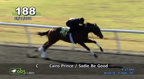 9434885A-A38C-4862-9EE3-EA9C565036A9