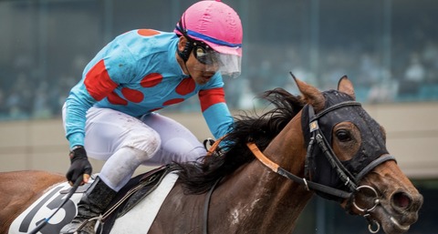 D314F09B-F9C7-44DB-9116-B0CAE679C10E