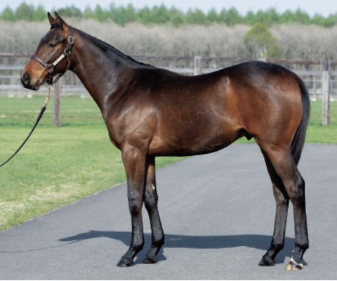 CE6E3F23-49BE-41F1-9B4C-9DAF8E616F93