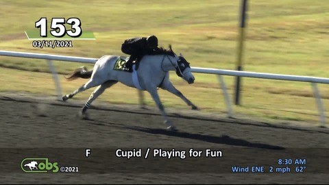 636A35A8-C3C2-4FC3-B0ED-C76ED4AC776D