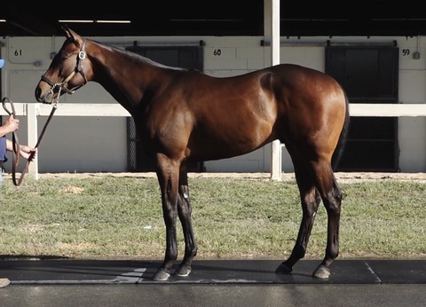 3CB2CA06-3257-4585-B534-114E4753430E