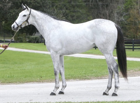 B3EFAD65-D25F-4C60-8C04-909348E8A9A0