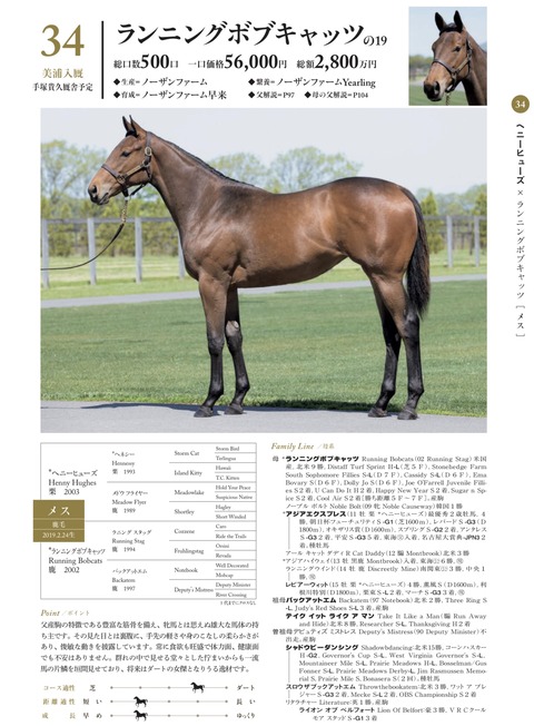 FC6D19C3-48BD-4BD3-A996-DB713A3EB2C3